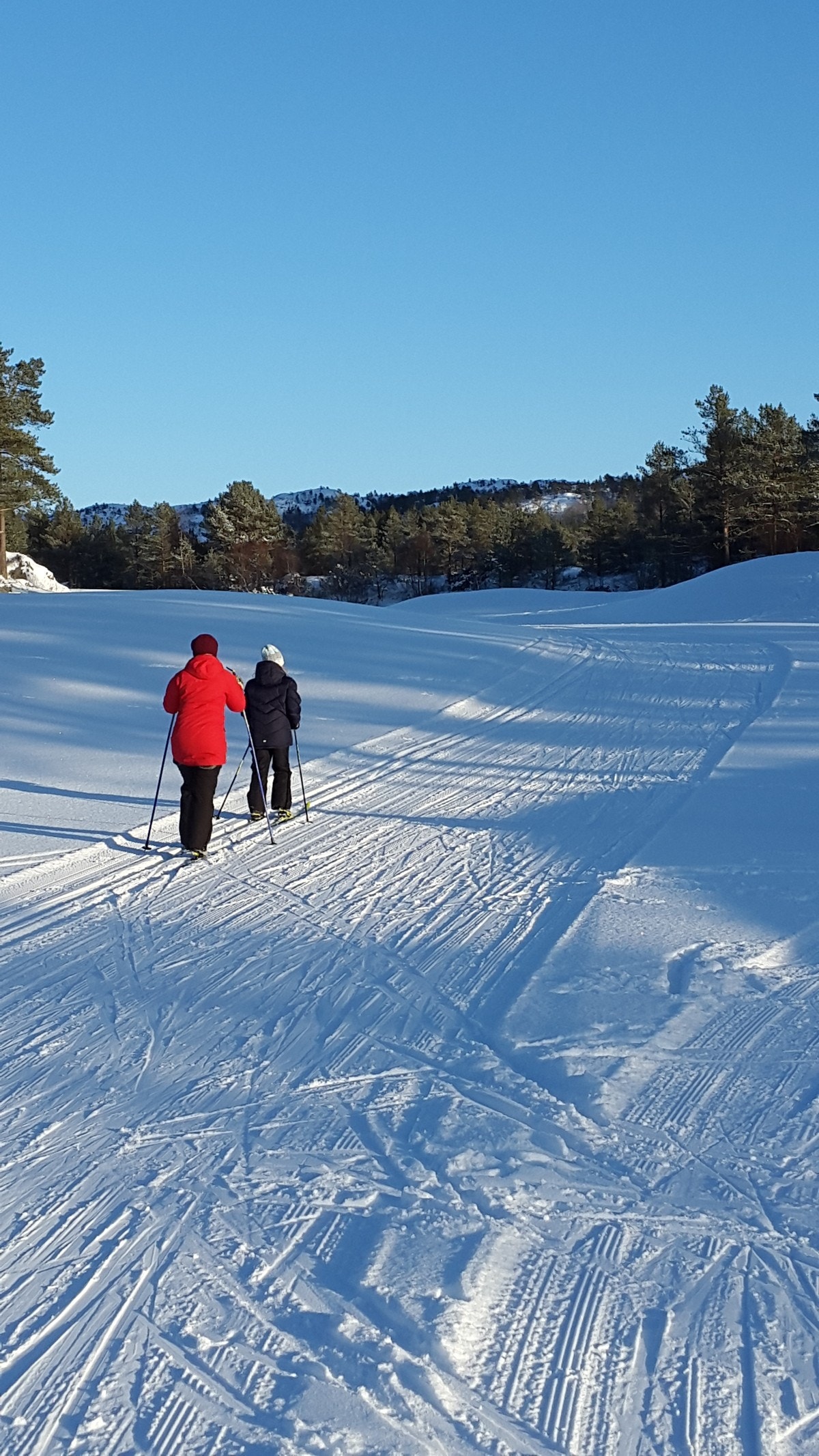 20160116_140405 Galleribilde