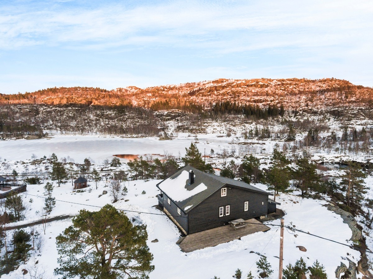 Hildreskog_0332 Galleribilde