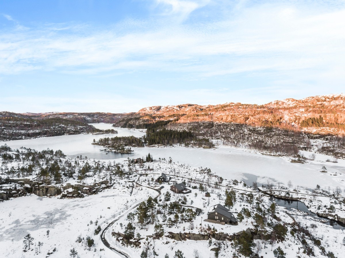 Hildreskog_0315 Galleribilde