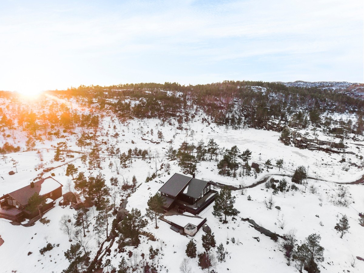 Hildreskog_0323 Galleribilde