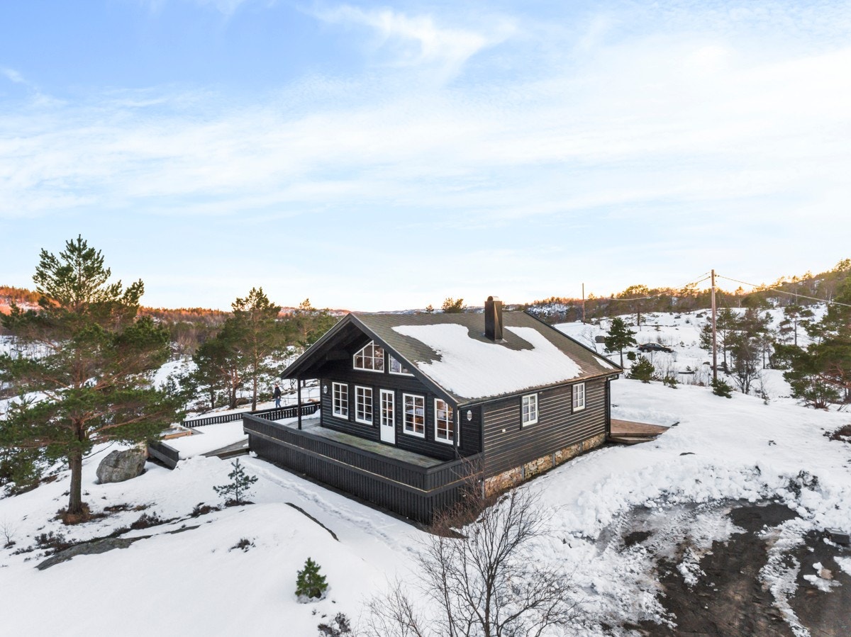 Hildreskog_0306 Galleribilde