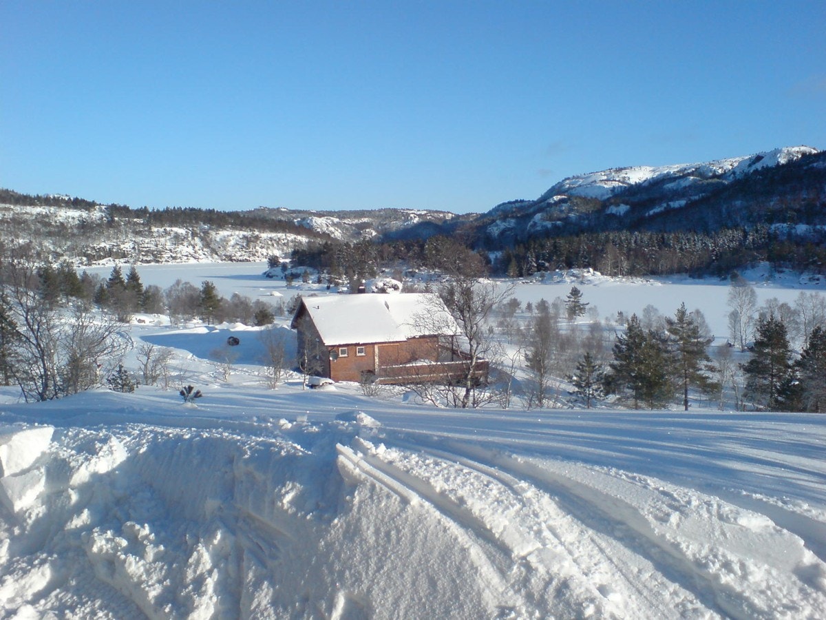 DSC00978 Galleribilde