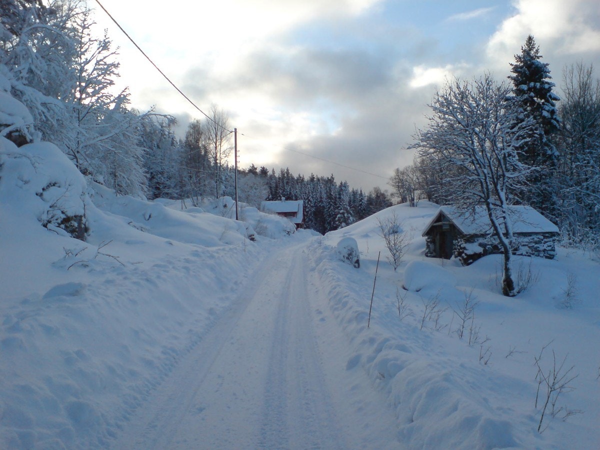 DSC00964 Galleribilde