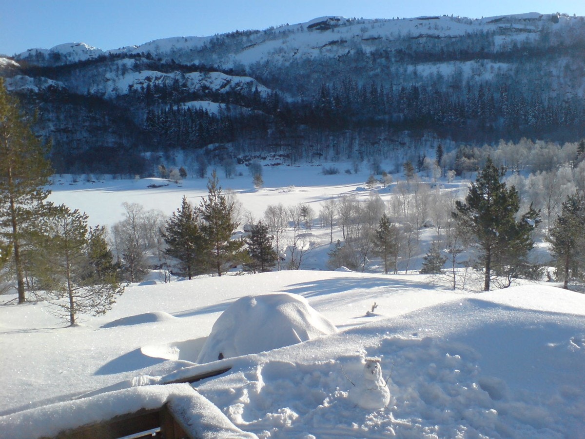 DSC00979 Galleribilde