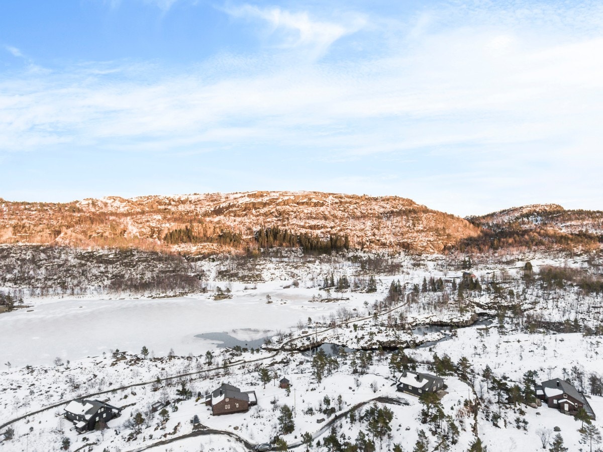 Hildreskog_0312 Galleribilde