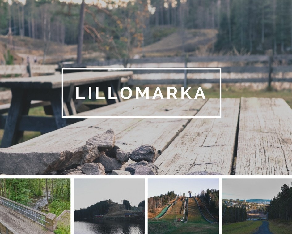 Lillomarka. Galleribilde
