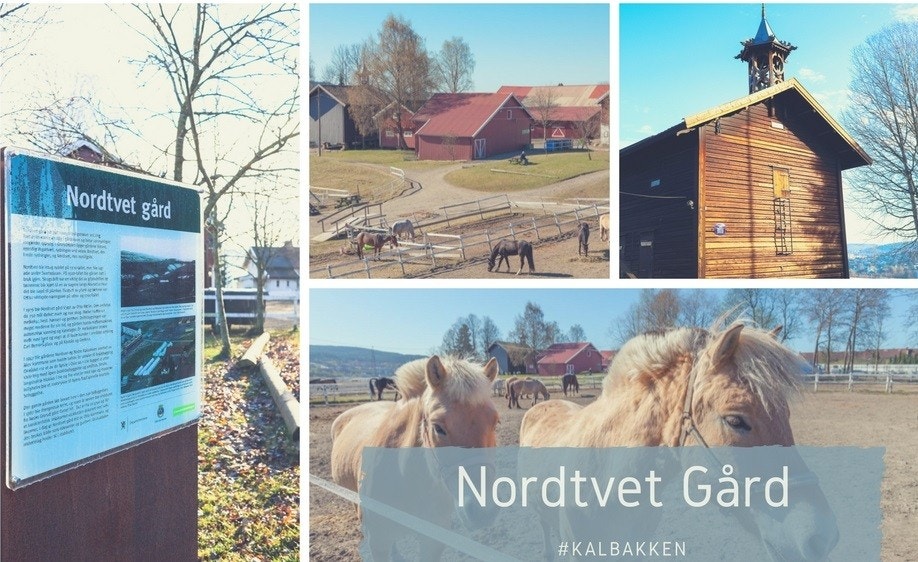 Nordtvet gård. Galleribilde