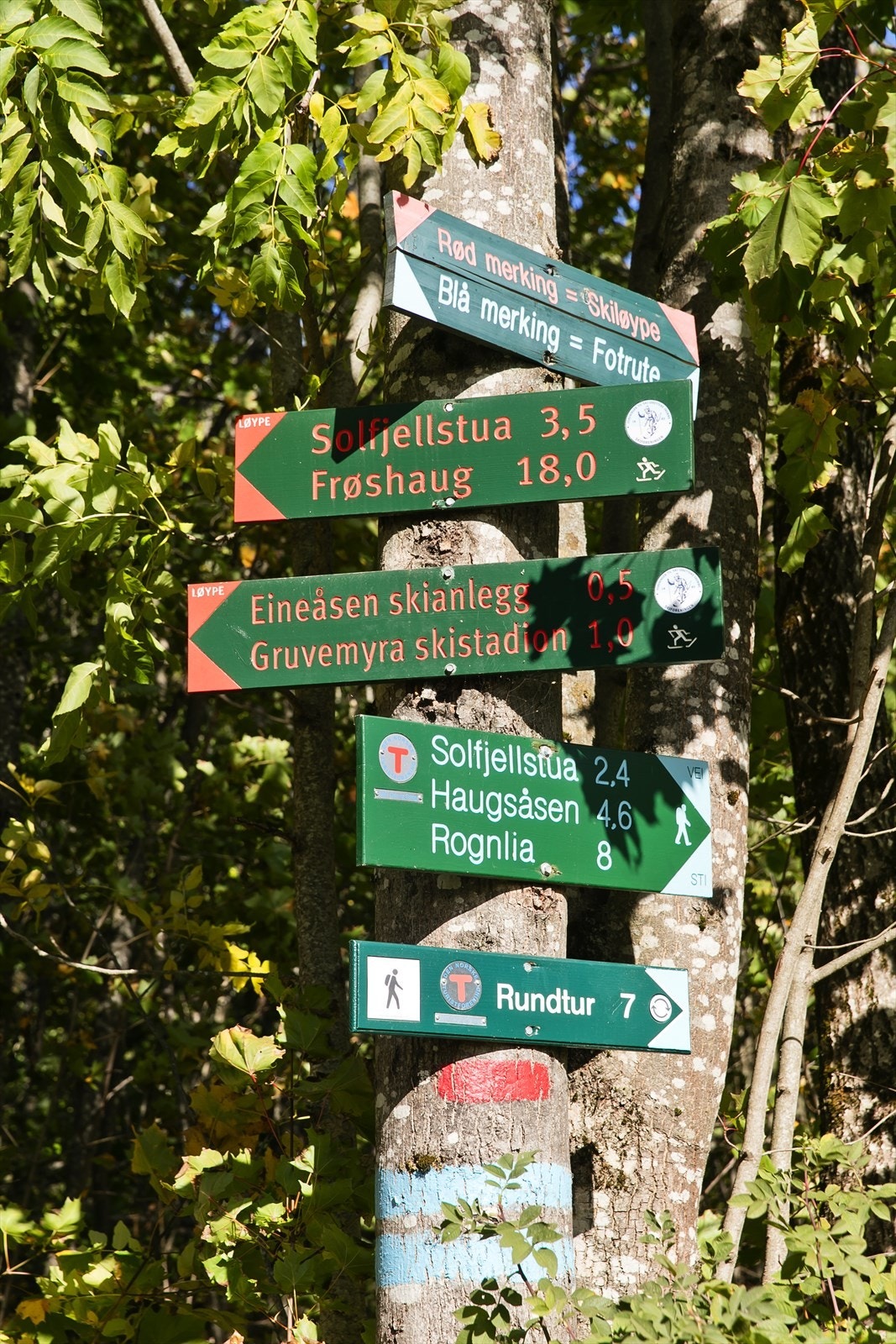 Boligen har nærhet til fantastiske turområder i alle himmelretninger. Fine gangveier fører opp til Eineåsen, med lysløype og fint turterreng, sommer som vinter Galleribilde