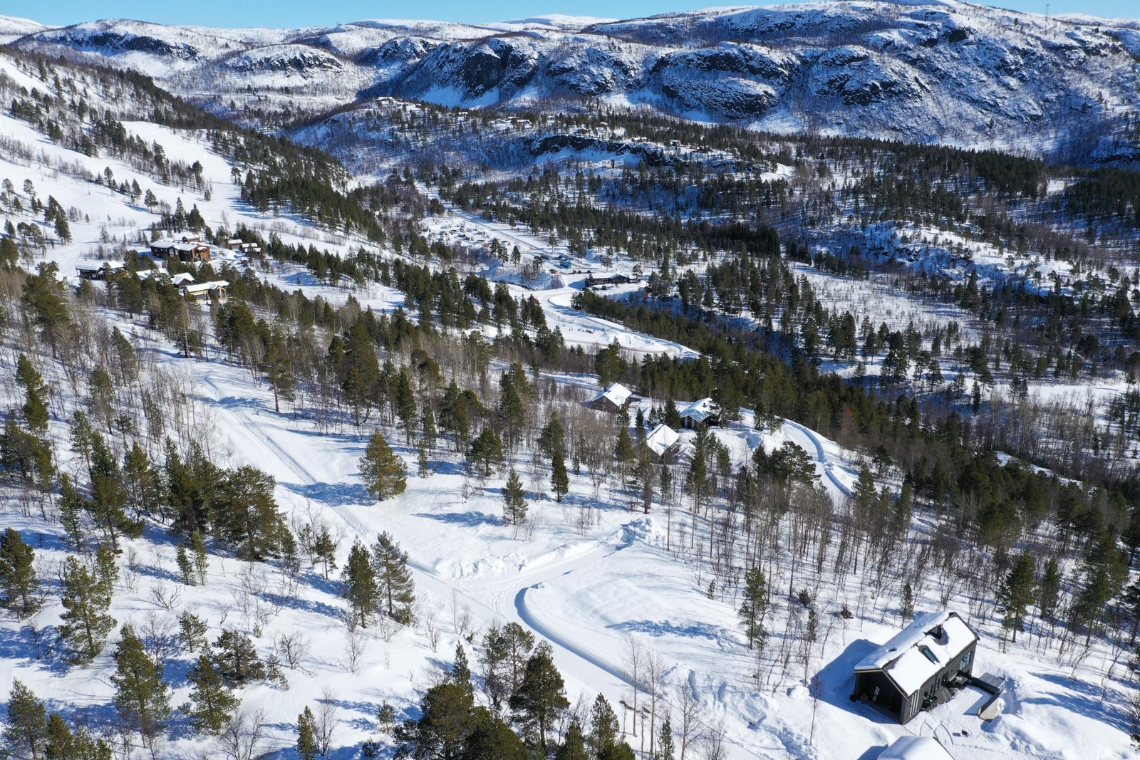 Velkommen til visning! Galleribilde