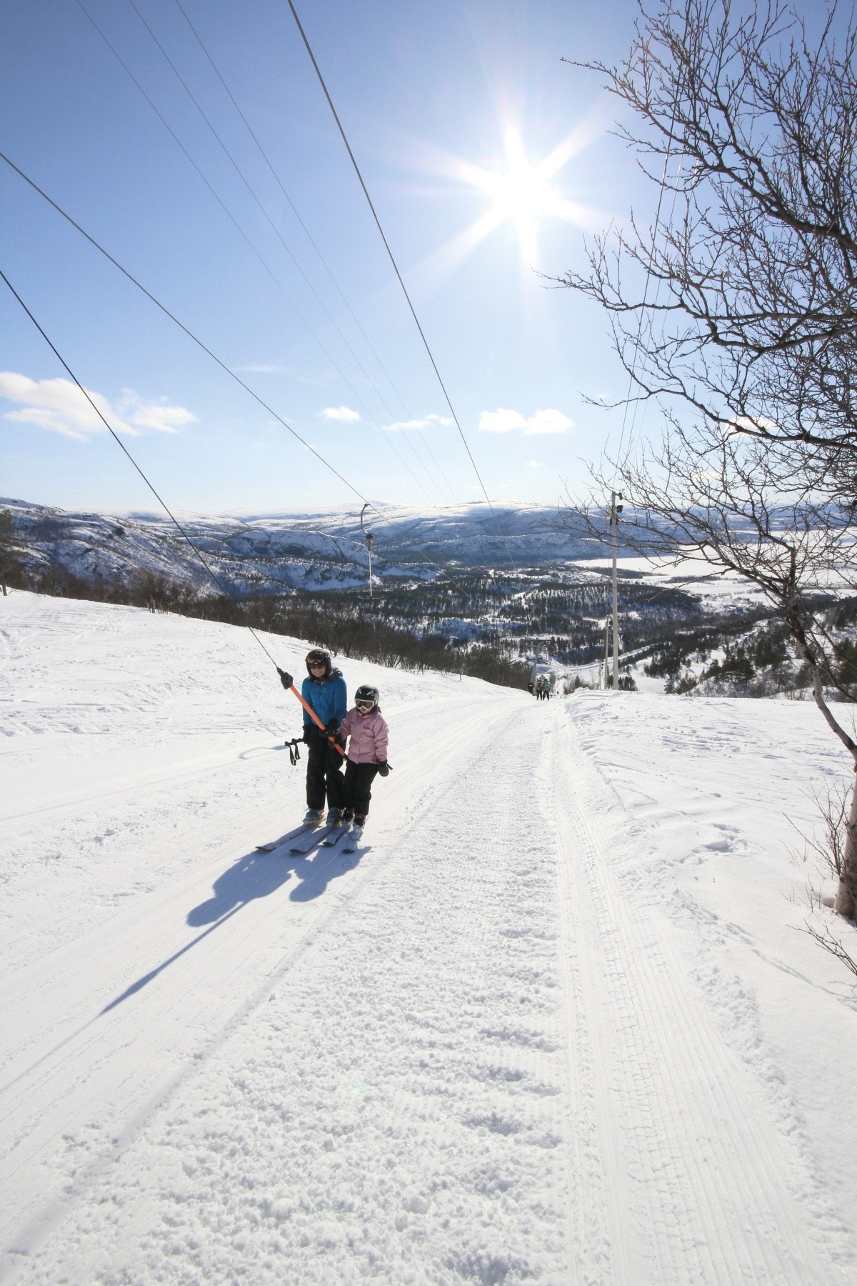 Alpinanlegget har T-krok skitrekk Galleribilde