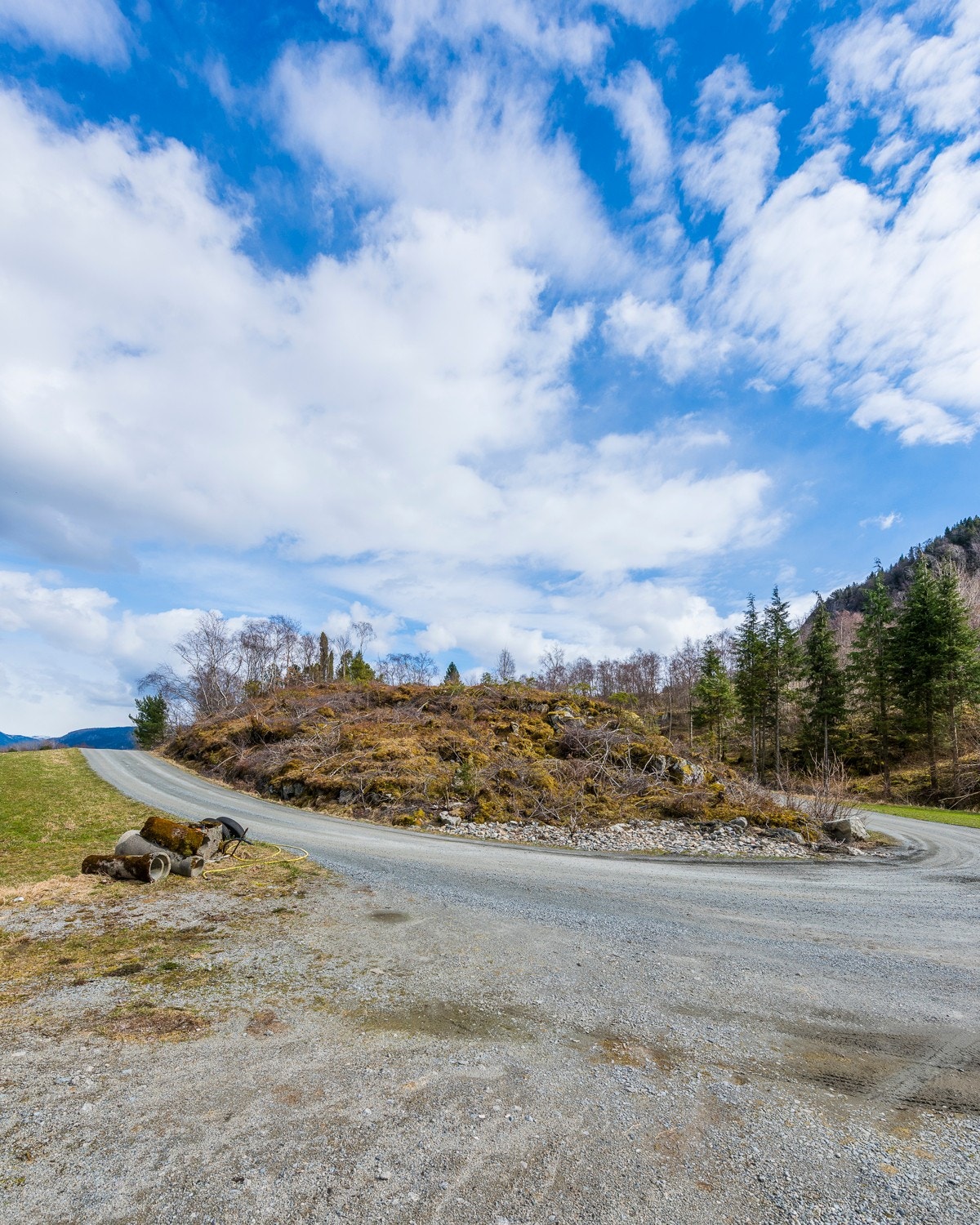 _NEG8835 Galleribilde