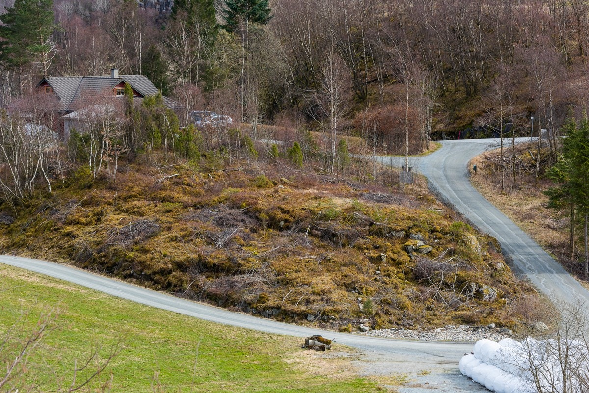 _NEG8849 Galleribilde