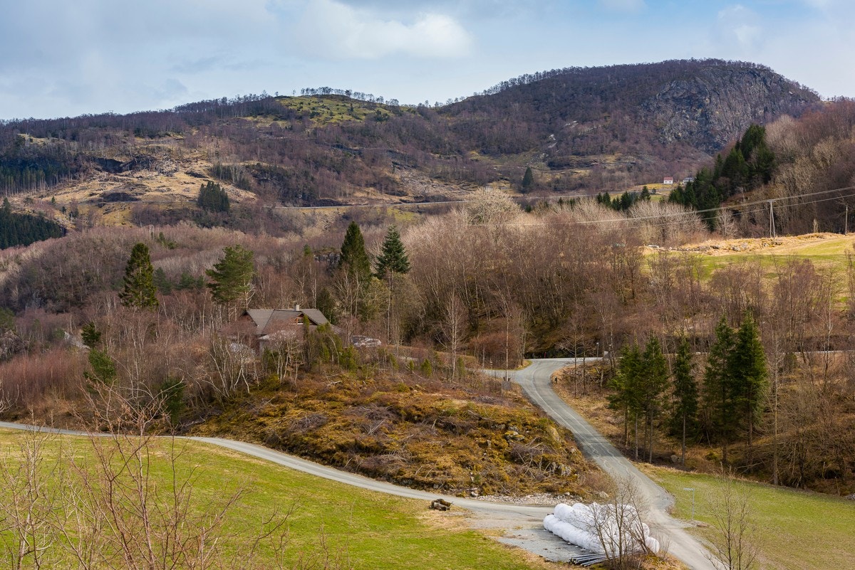 _NEG8850 Galleribilde