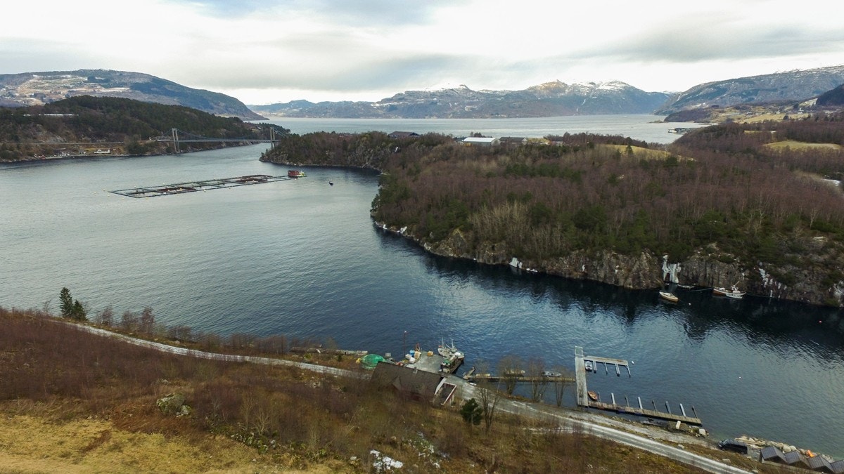 DJI_0049 Galleribilde