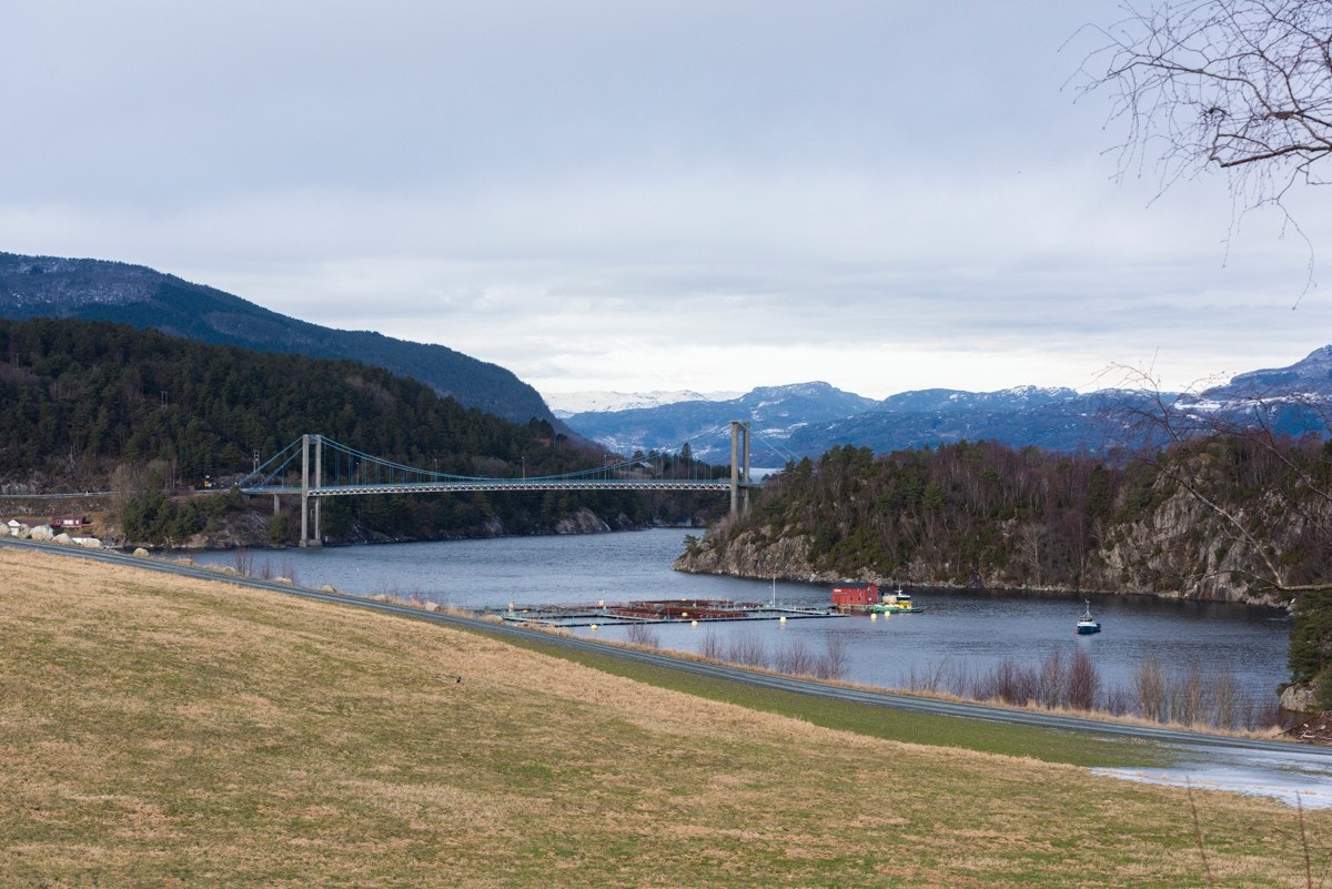_NEG7643 Galleribilde