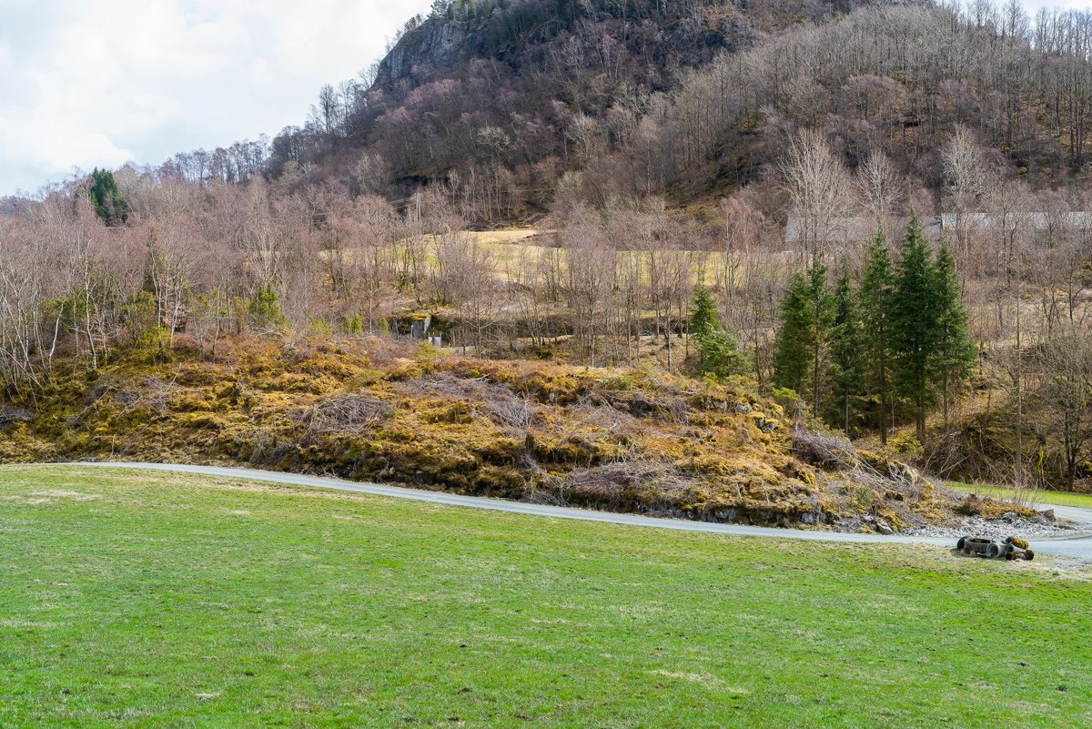 _NEG8837 Galleribilde