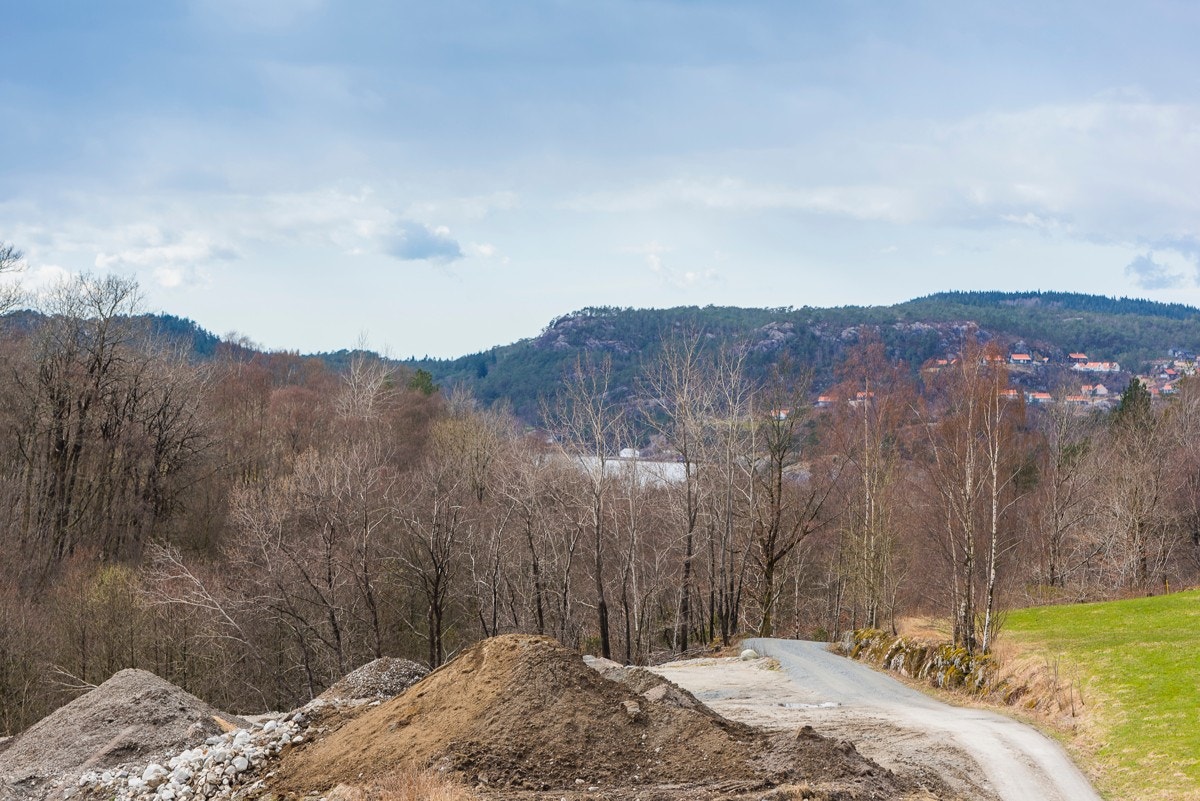 _NEG8842 Galleribilde