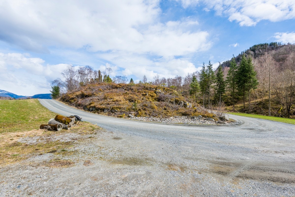 _NEG8834 Galleribilde