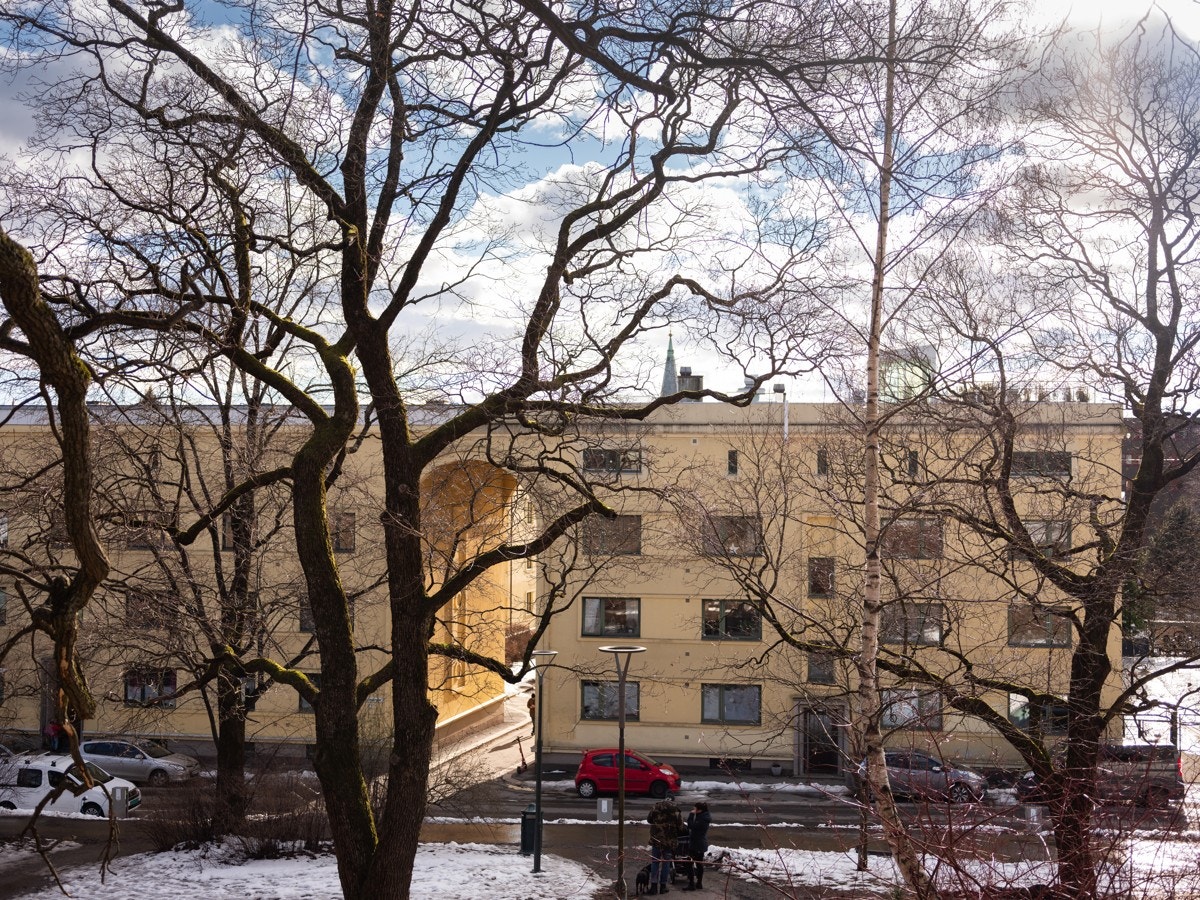 Hyggelig turområde. Galleribilde