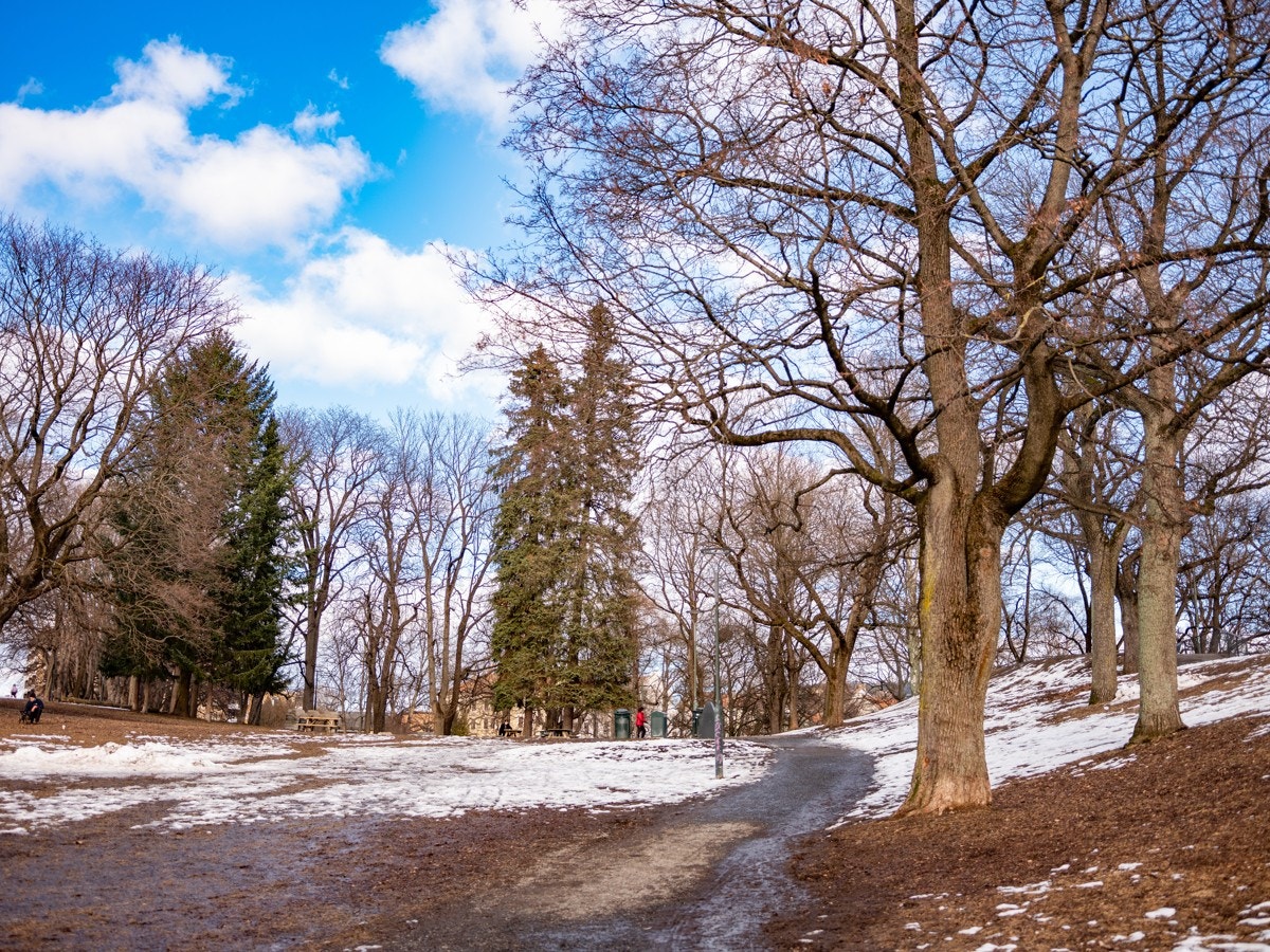 Bjølsenparken. Galleribilde