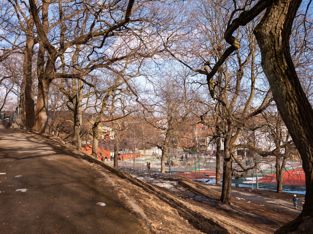 Bjølsenparken. Galleribilde