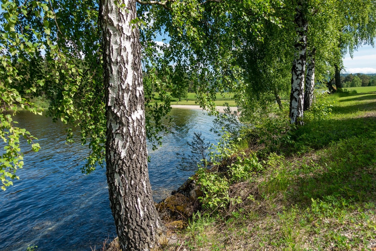 Fra boligen er det ca. 6 minutter på sykkel ned til Holsfjorden og Holmenvika strand. Galleribilde