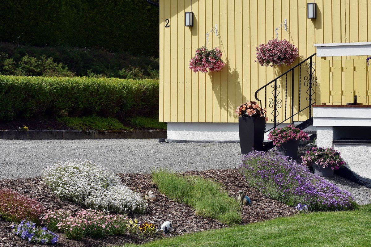 Ellers er hagen beplantet med gressplen, bed og trær. Galleribilde