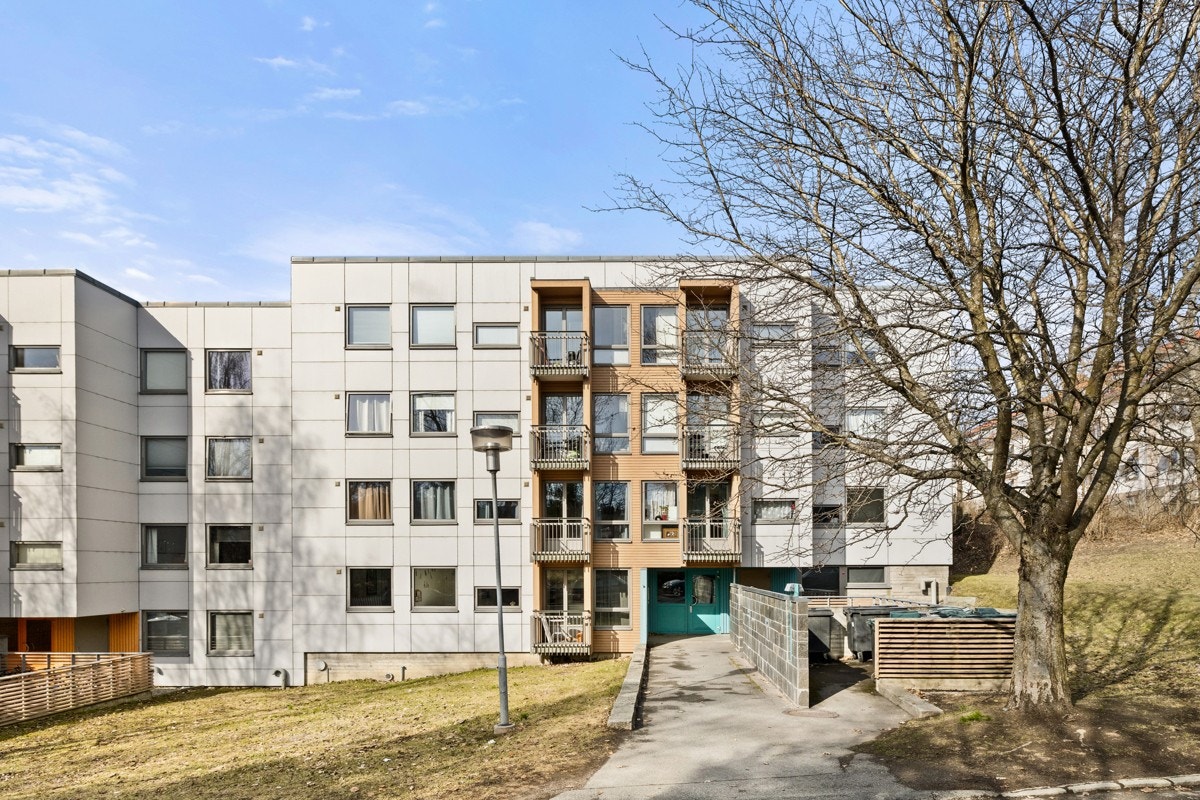 Inngangsparti. Galleribilde