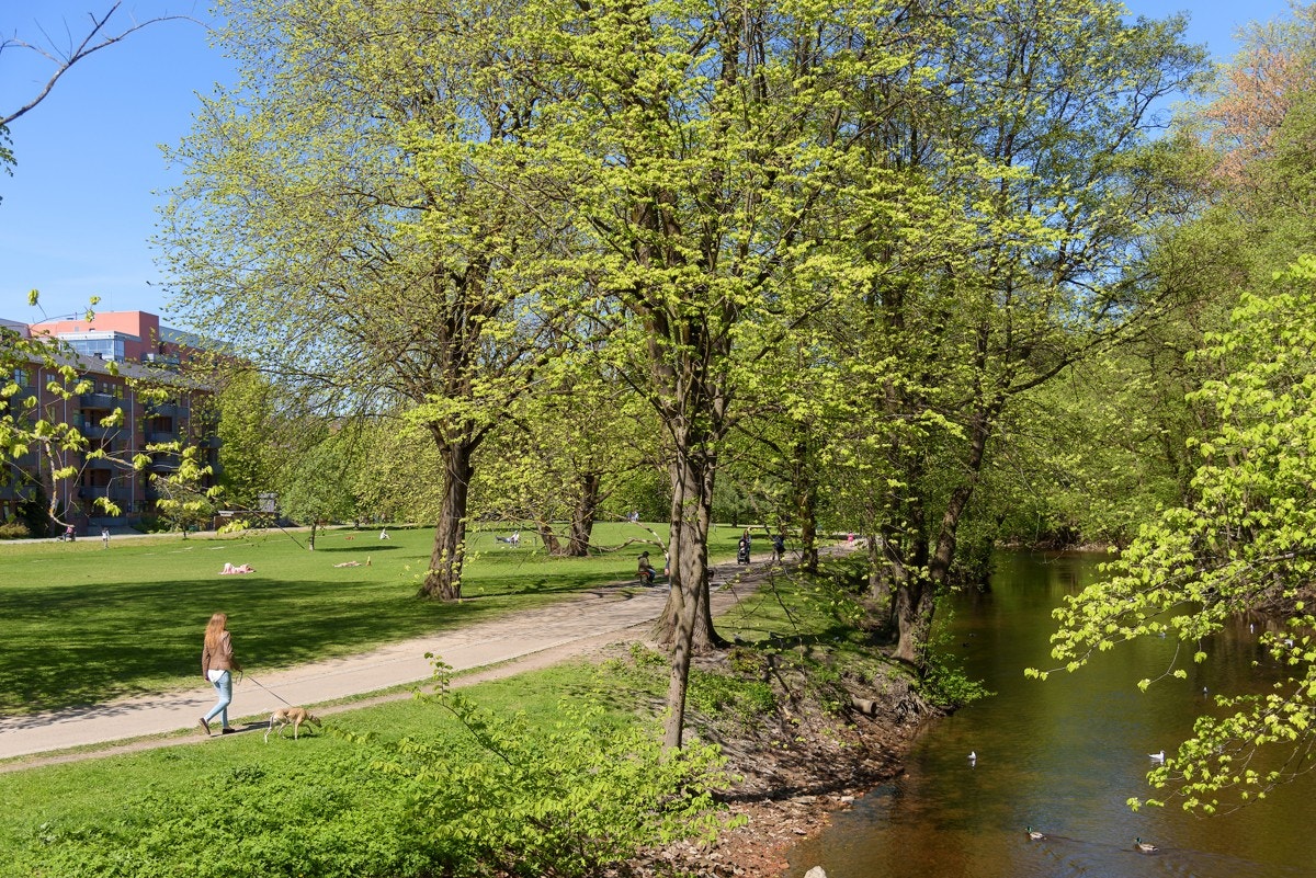 Akerselva med tursti renner like forbi. Denne tar deg ned til Bjørvika og helt opp til Maridalen. Galleribilde
