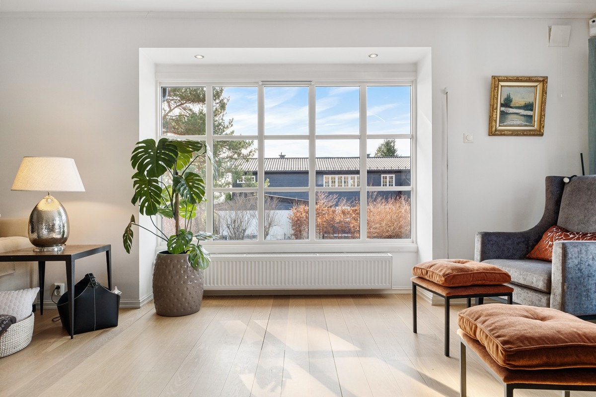 Store vindusflater som gir mye lysinnslipp Galleribilde