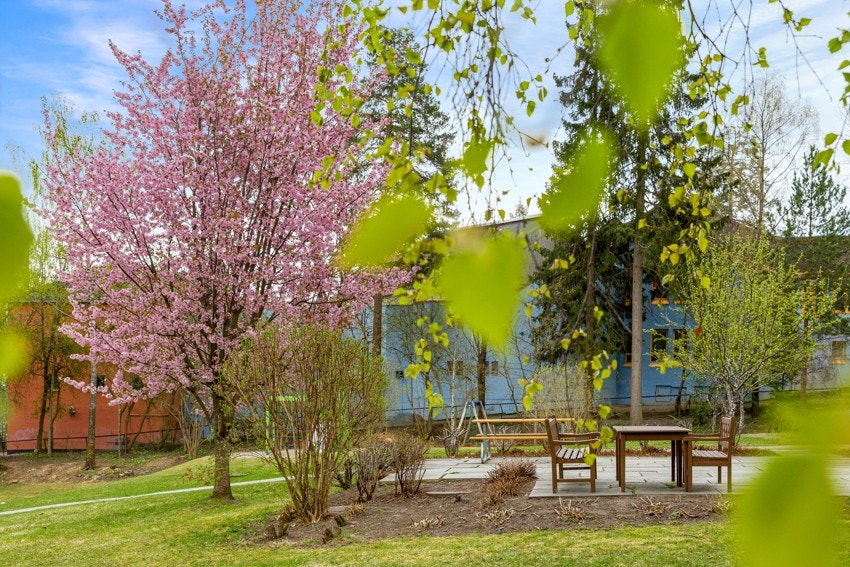 Borettslaget har velstelte grøntområder, med vidstrakte plener og flere benkebord som omkranser bebyggelsen. Galleribilde