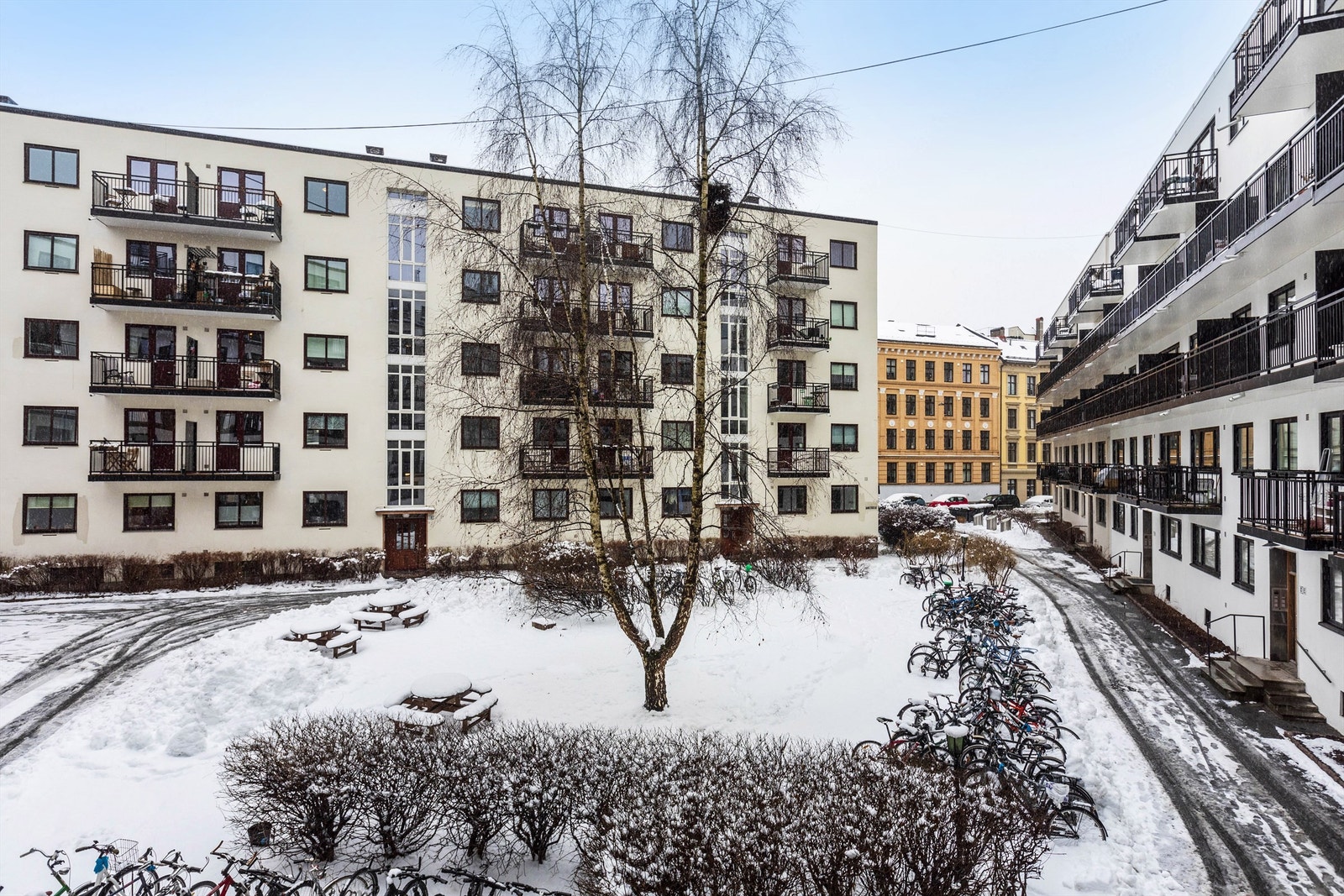 Utsikt fra balkongen mot fellesområdene - Gårdsrommet er åpent og fritt og god avstand mellom bebyggelsen Galleribilde