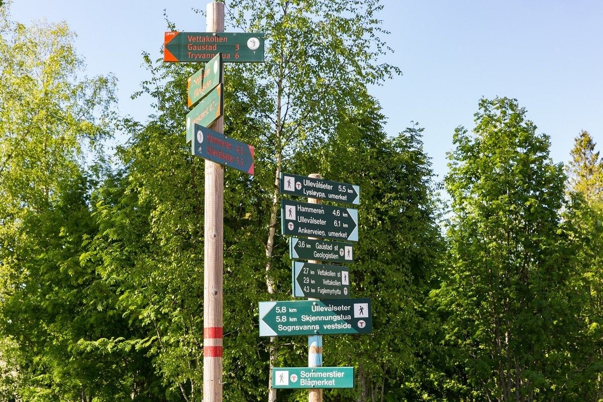 Bare noen meter utenfor stuedøra starter milevis med preparerte skiløyper og turstier. Galleribilde