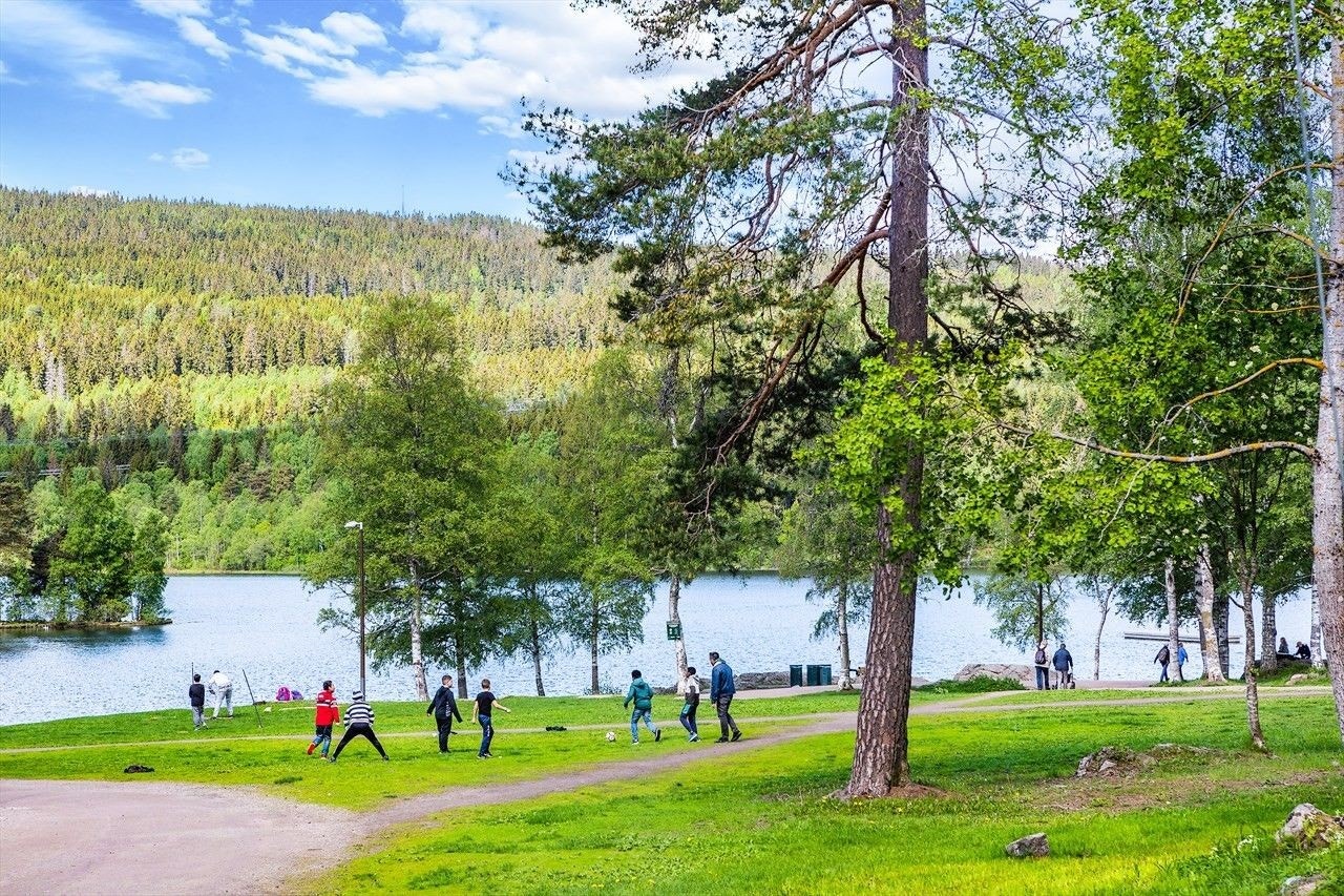 Kort vei til Sognsvann, Nordmarka, Solemskogen og Maridalen, med flotte turområder både sommer og vinter. Rundt Sognsvann går det en populær løype på ca. 3,7 km som også er tilrettelagt for bevegelseshemmede Galleribilde