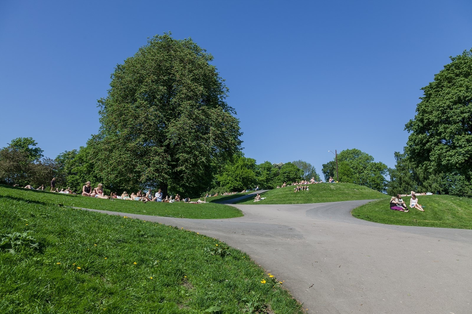 Nydelige Stensparken er din nærmeste nabo. Galleribilde