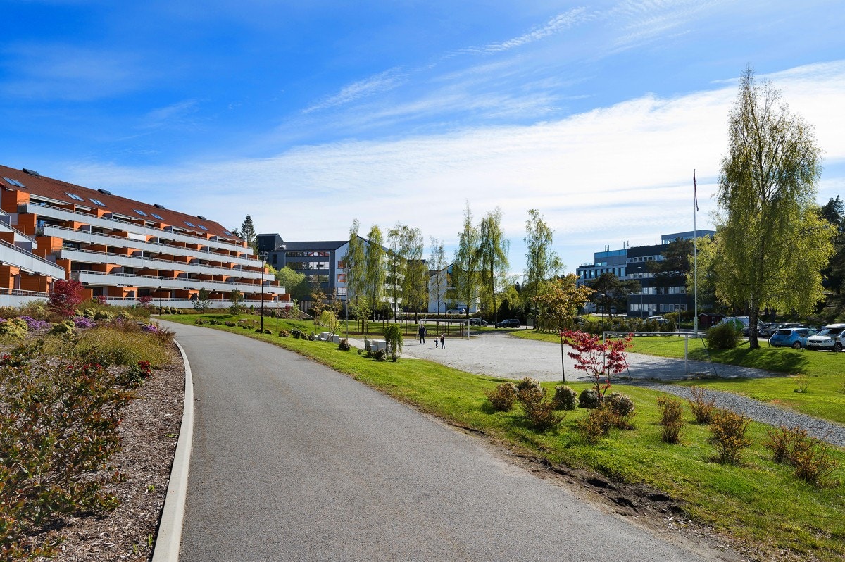 Fellestomt har lekeplasser og fotballbane Galleribilde