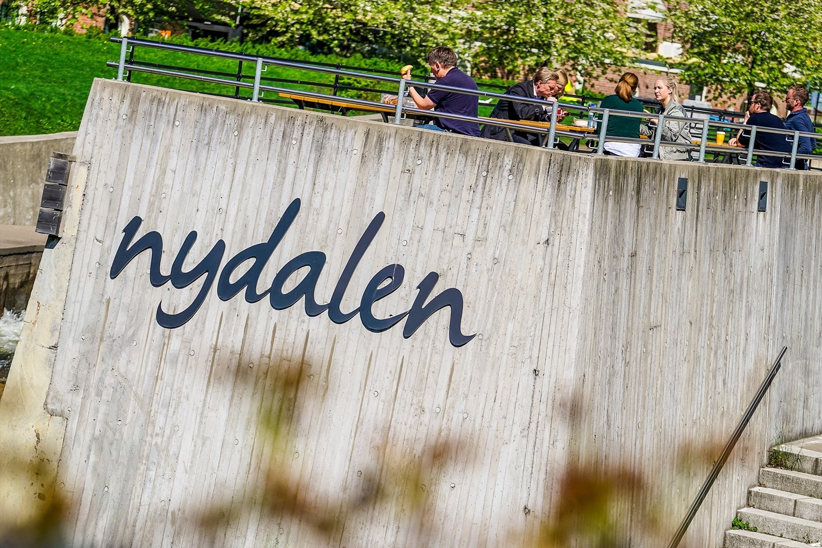 Områdebilde. Galleribilde