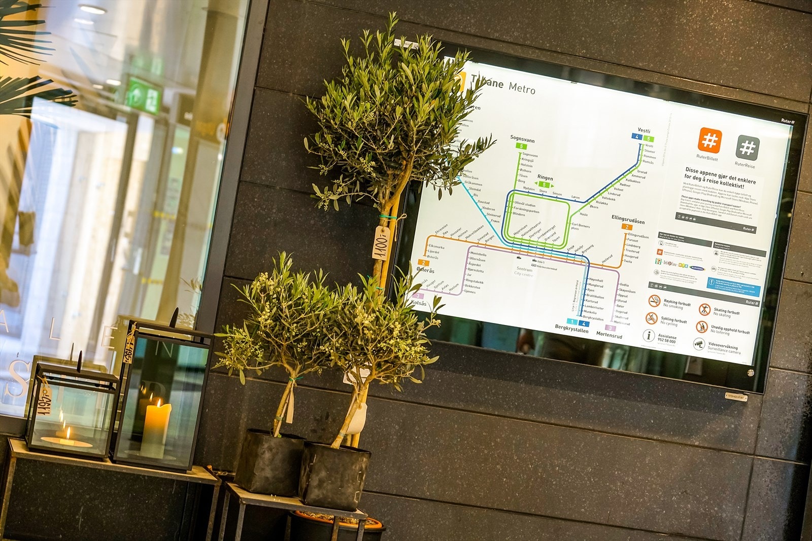 Områdebilde. Galleribilde