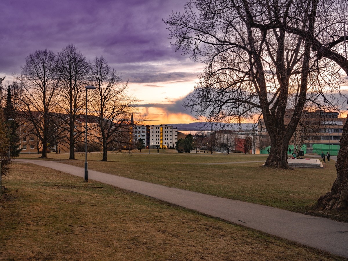 Her har du store og flotte grøntområder rett ved boligen. Galleribilde