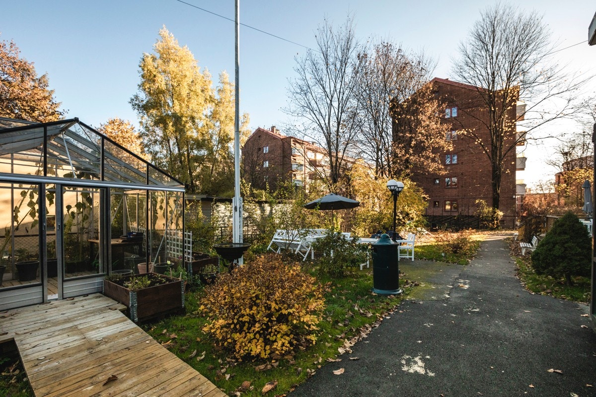 Bakhagen deles med Sagenehjemmet, og er en egen oase i byen. Det er hyggelige sittegrupper og pene grøntområder Galleribilde