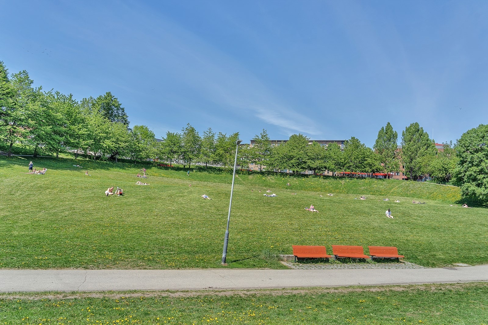 Nærområdet Galleribilde