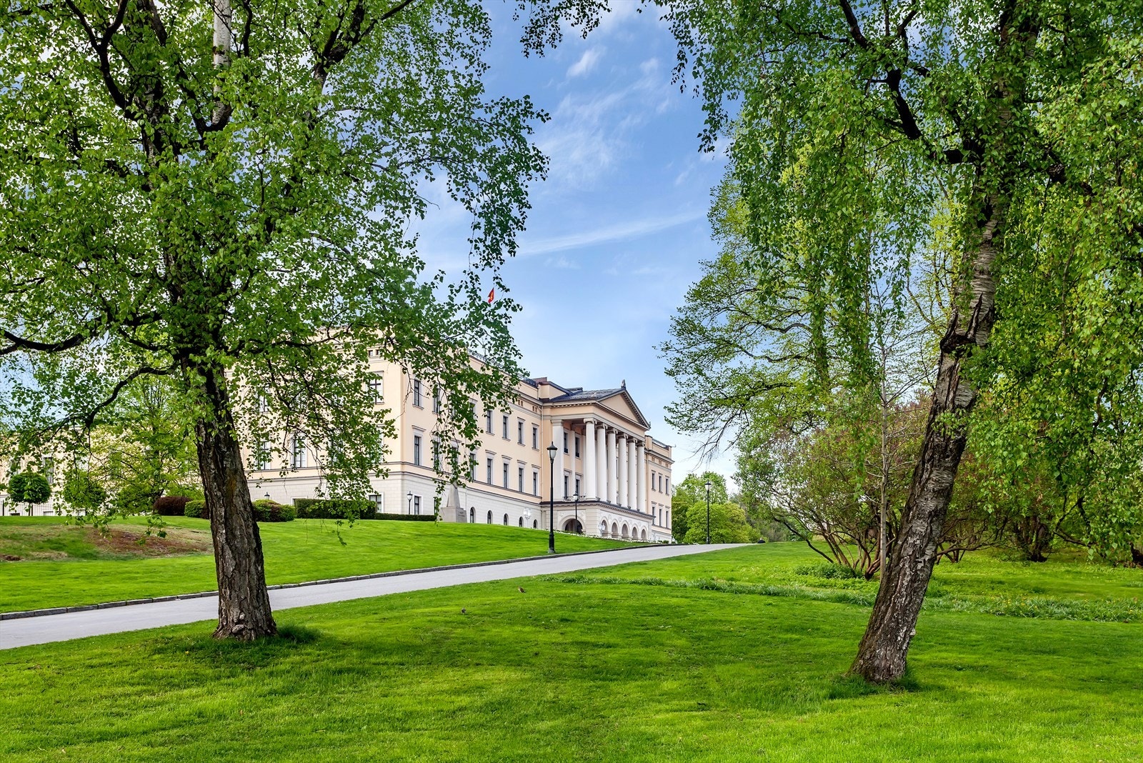 Gode turmuligheter i Slottsparken hele året. Kort vei til Nationaltheateret Galleribilde