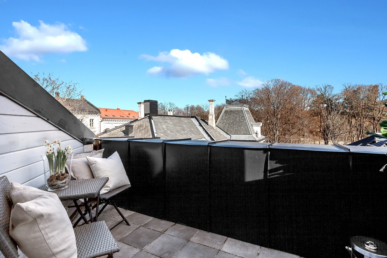 Fantastisk utsikt mot Slottsparken og Slottet Galleribilde