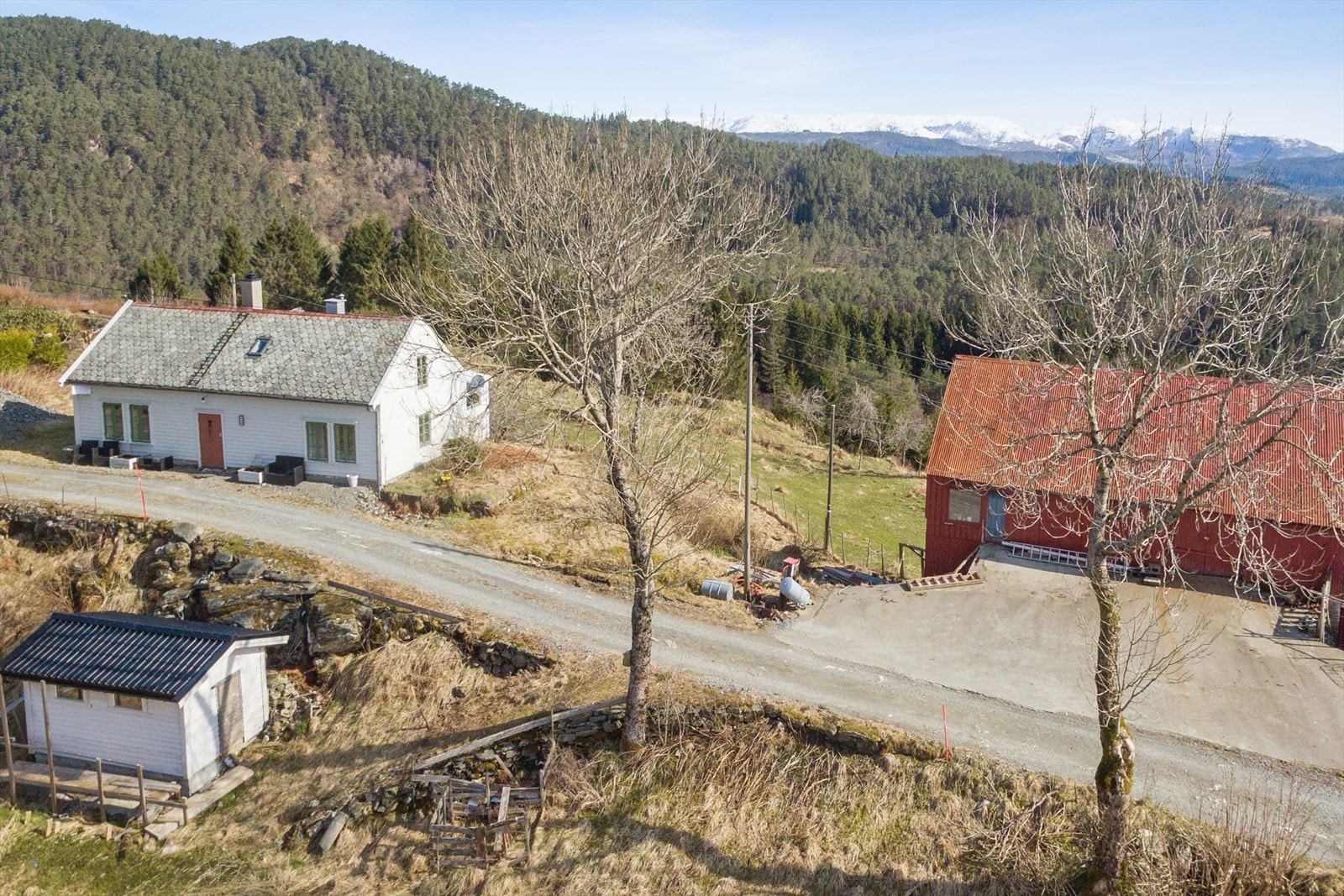 Flere_bilder Galleribilde