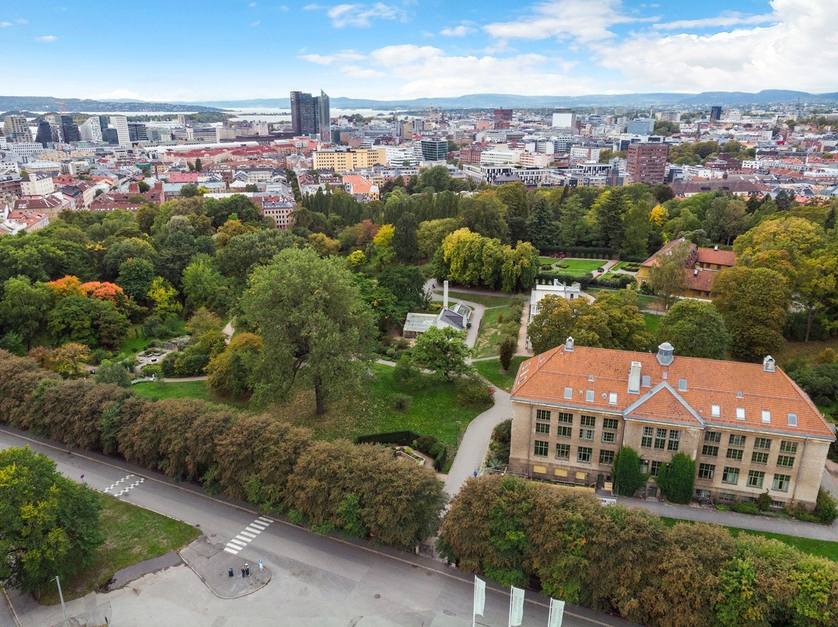 Botanisk hage. Galleribilde