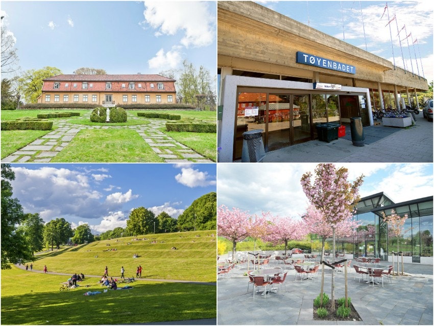 Områdebilde. Galleribilde