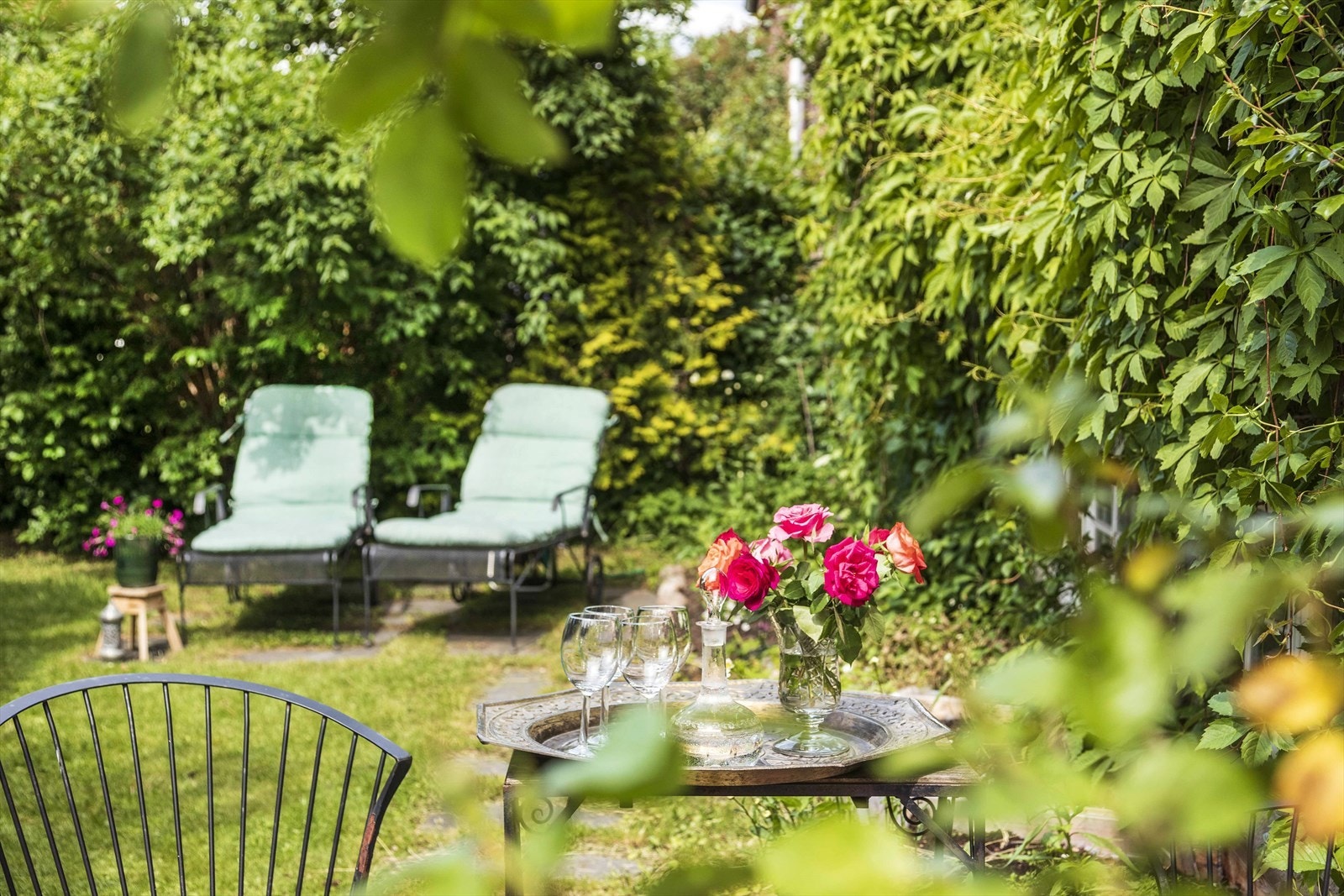 Hagen er virkelig en grønn oase med grønne planter og trær. Galleribilde