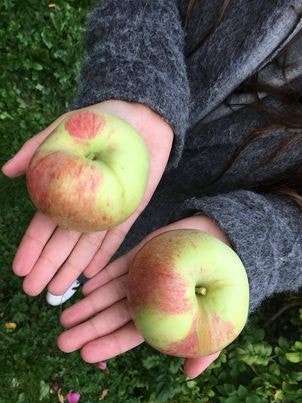 Selgers private bilde. Galleribilde