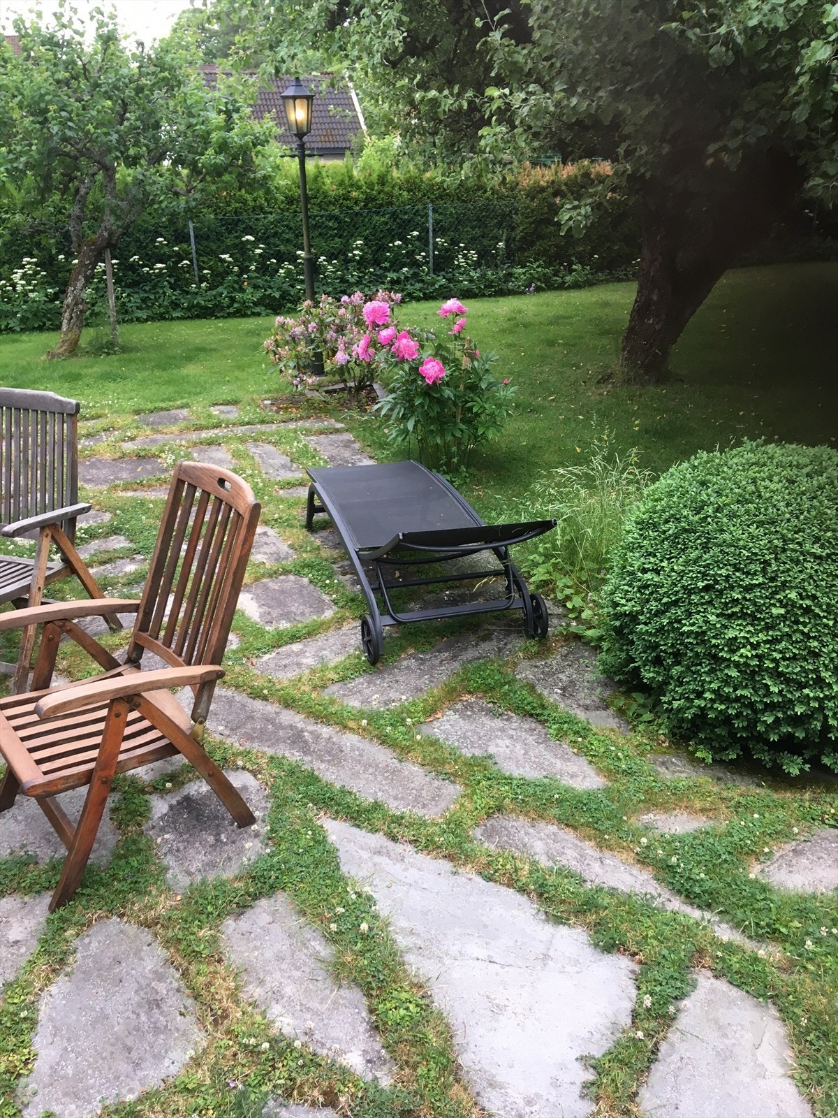 Selgers private bilder Galleribilde