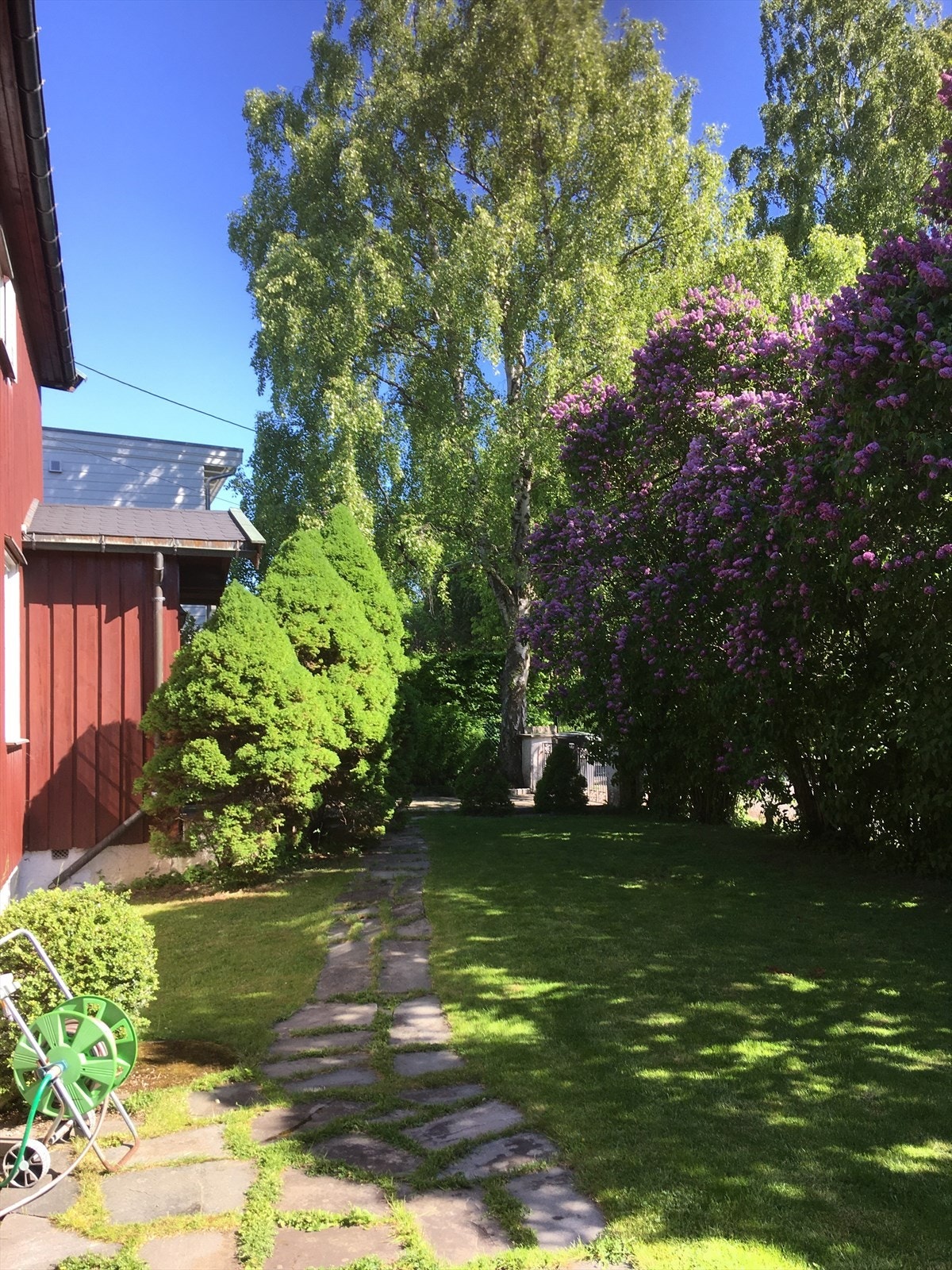 Selgers private bilder Galleribilde